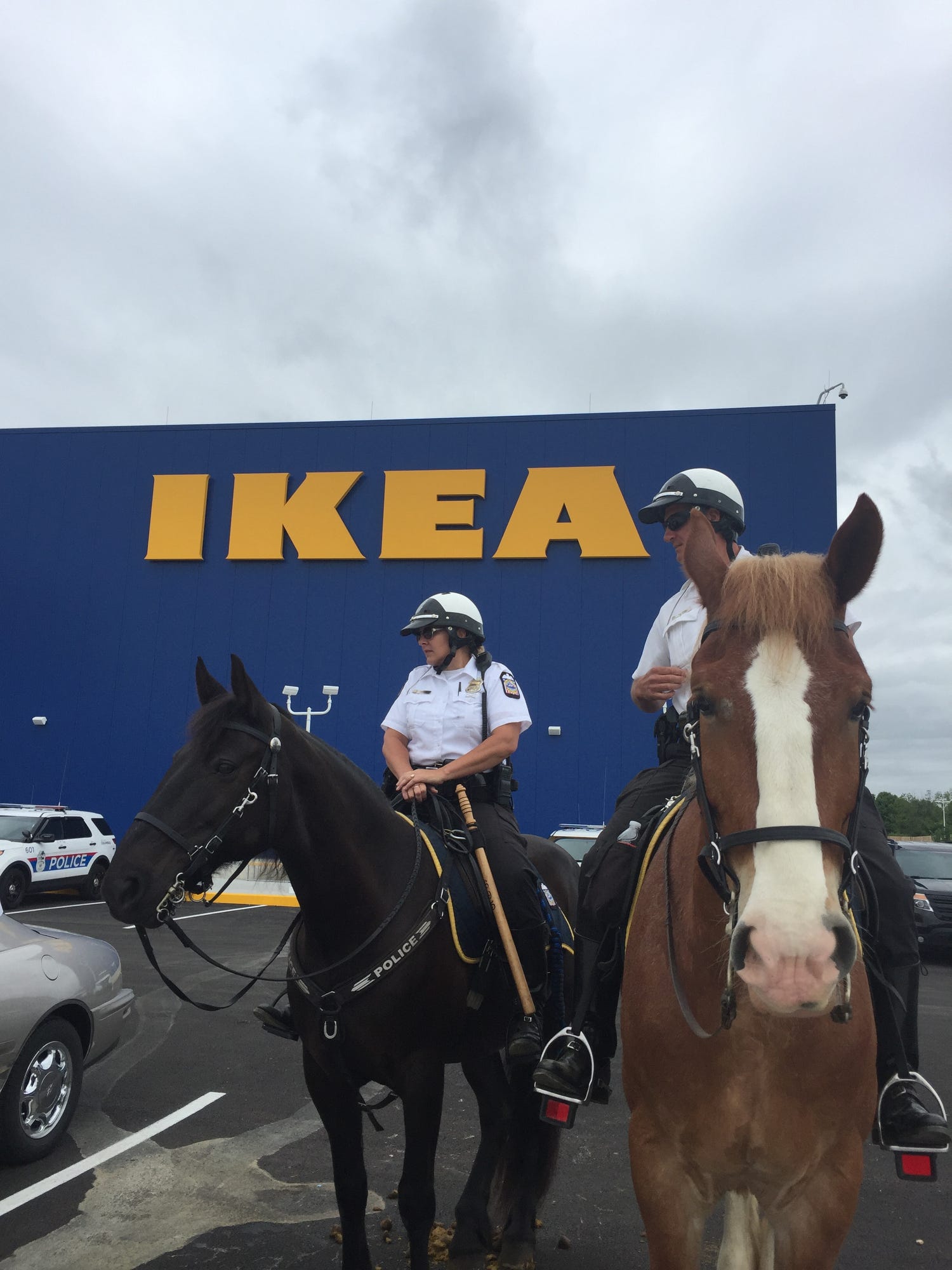 ikea hobby horse